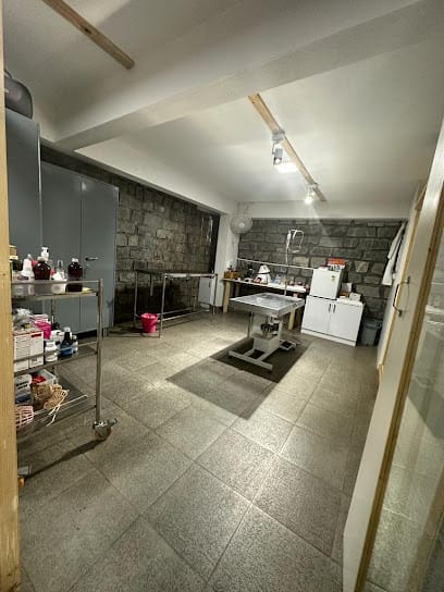 KPC business photograph