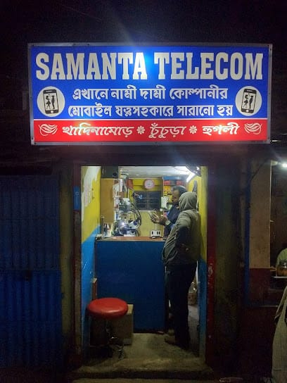 Samanta telecom business photograph