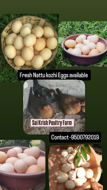 Sai Krish Poultry Farm (Organic Nattu Kozhi) business photograph