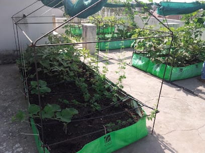 Sahaj Organic Farming business photograph