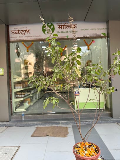 Satvyk Organic Food Store business photograph
