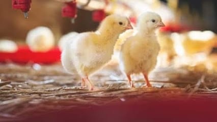 Akshaya Trading Co business photograph