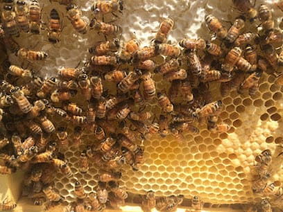 Necteria business photograph