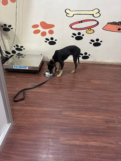 Animal clinic business photograph