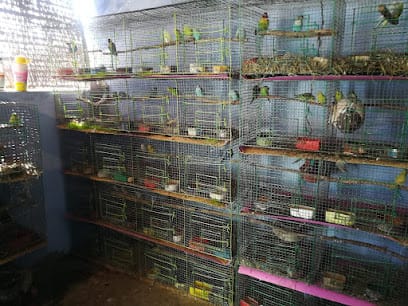 Kanis Pets & Bird's business photograph