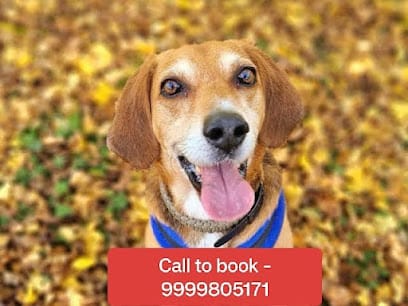 PawPrints Home Boarding business photograph