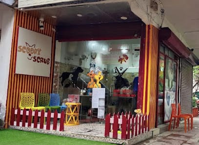 Scoopy Scrub business photograph