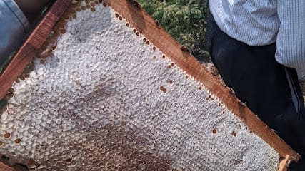 Pahadi Honey – Raw Organic Honey from Himachal (Lehhan Bee Farm) business photograph