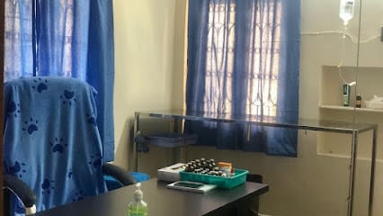 B2Vet Pet Clinic business photograph