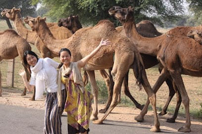Jai Texart Hand Block Printing Workshop business photograph