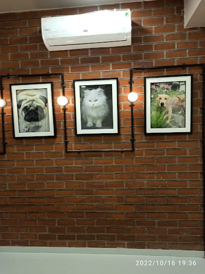 PET VET CLINIC, Nizampura business photograph
