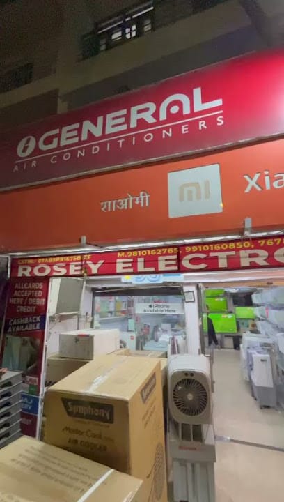 Rosey Electronics business photograph