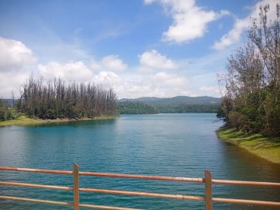 OotySavaari Tours & Travels| Best Call Taxi service Ooty | Sightseeing Cabs | Car Rentals |Ooty Honeymoon Packages business photograph