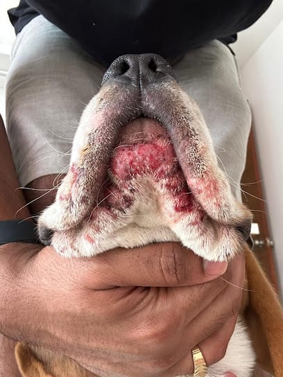 The Pet Specialist business photograph