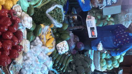 Quality paneer business photograph