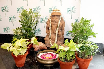 Kairali Ayurvedic Treatment Centre (Siri Fort Sports Complex, New Delhi) business photograph