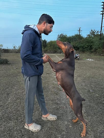 Happy Kennel Bhopal business photograph