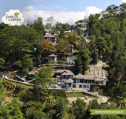 Forest Canopy Thekkady business photograph