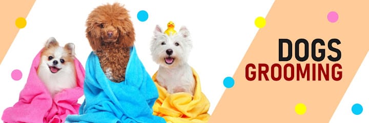 Dogs Paradise Grooming - Pet Grooming Service South Delhi business photograph