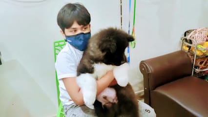 sri pet clinic business photograph