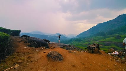 Tiana Holidays business photograph