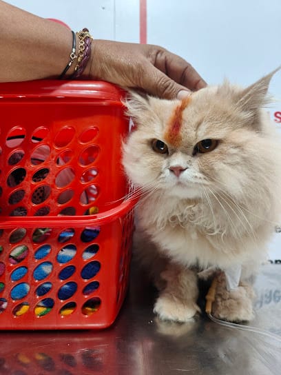 𝐀𝐌𝐑𝐈𝐓𝐀 𝐏𝐄𝐓 𝐂𝐋𝐈𝐍𝐈𝐂 & 𝐒𝐔𝐑𝐆𝐄𝐑𝐘 𝐂𝐄𝐍𝐓𝐄𝐑 business photograph