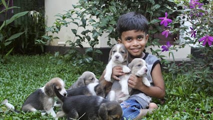 Veterinary Doctor Thrissur (Pets n Vets) business photograph