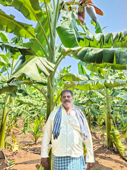 RAJ BIO ORGANICS business photograph