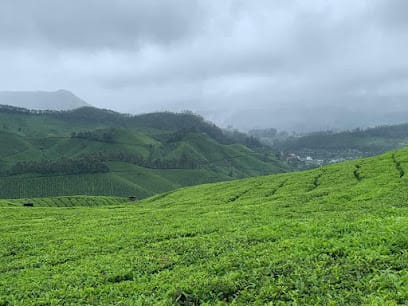 Chandru taxi service (munnar sightseeing) business photograph