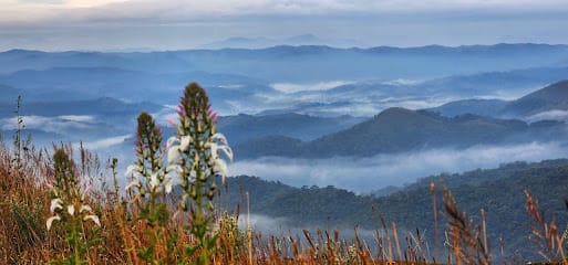 COORG TRAVEL WORLD business photograph