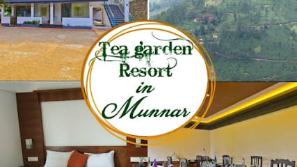 Munnar Tourist Places business photograph