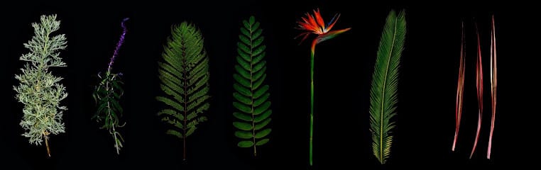 Biya Organics Private Limited. business photograph