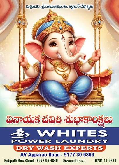 Sri Whites Power Laundry Rajanagaram business photograph