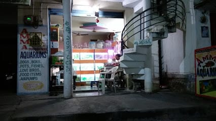 Amma Aquariums business photograph