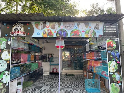 Deluxe petshop Shop & Aquarium Jamnagar business photograph