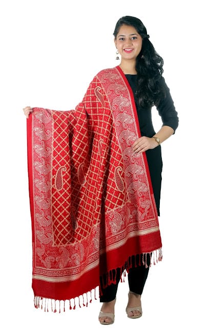 SADHNA SHAWLS LUDHIANA business photograph
