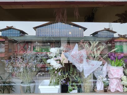 Pearlly Shell business photograph