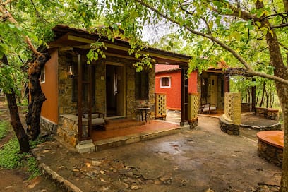 The Windflower Jungle Resort & Spa Bandipur business photograph