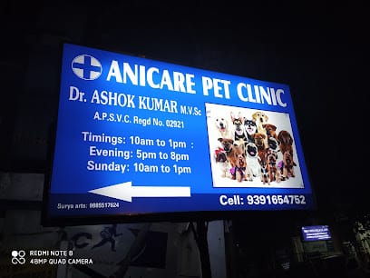 ANICARE PET CLINIC business photograph
