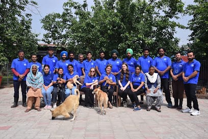 Pawsitive Sanctuary business photograph