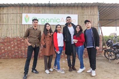 ORGANIC ACRE business photograph