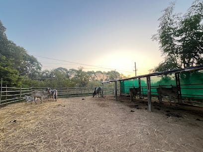 Dr.Mother by Gauchar business photograph