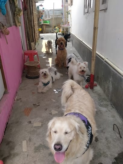 BHOW BHOW PET STAY business photograph