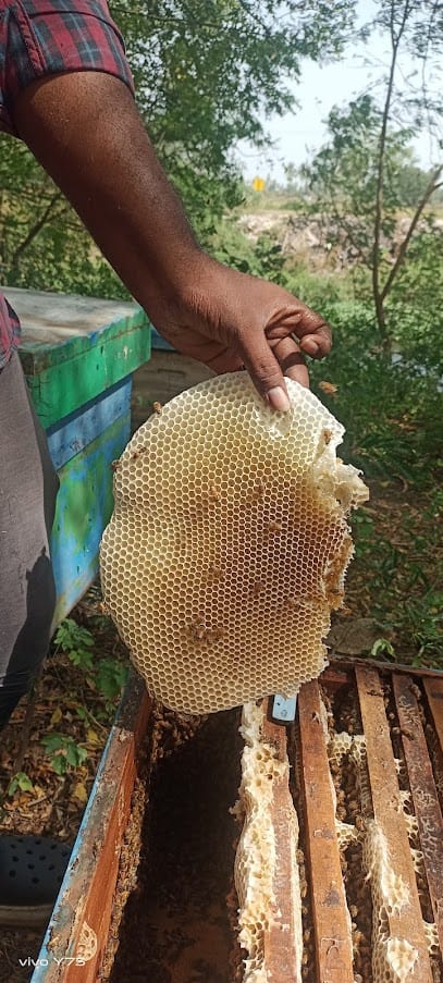 PSR NATURAL ORGANIC HONEY business photograph