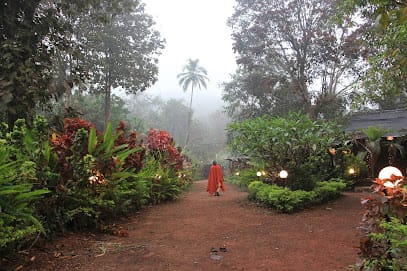 SWAN Yoga Retreat | Yoga Teacher Training in Goa | Yoga Retreat in goa business photograph