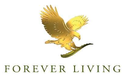 WELLNESS FOREVER, The business photograph