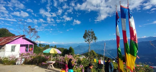 Dream Place Tour And Travels business photograph