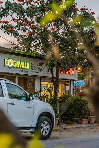 Dogsvilla Pet Services business photograph