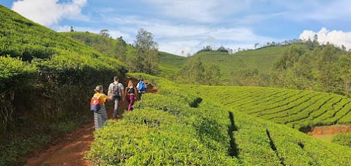 Munnar Trekking Tours, Munnarinfo.in business photograph