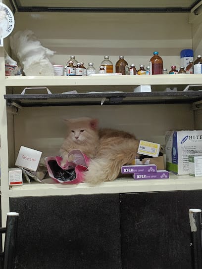 Indore pet clinic business photograph